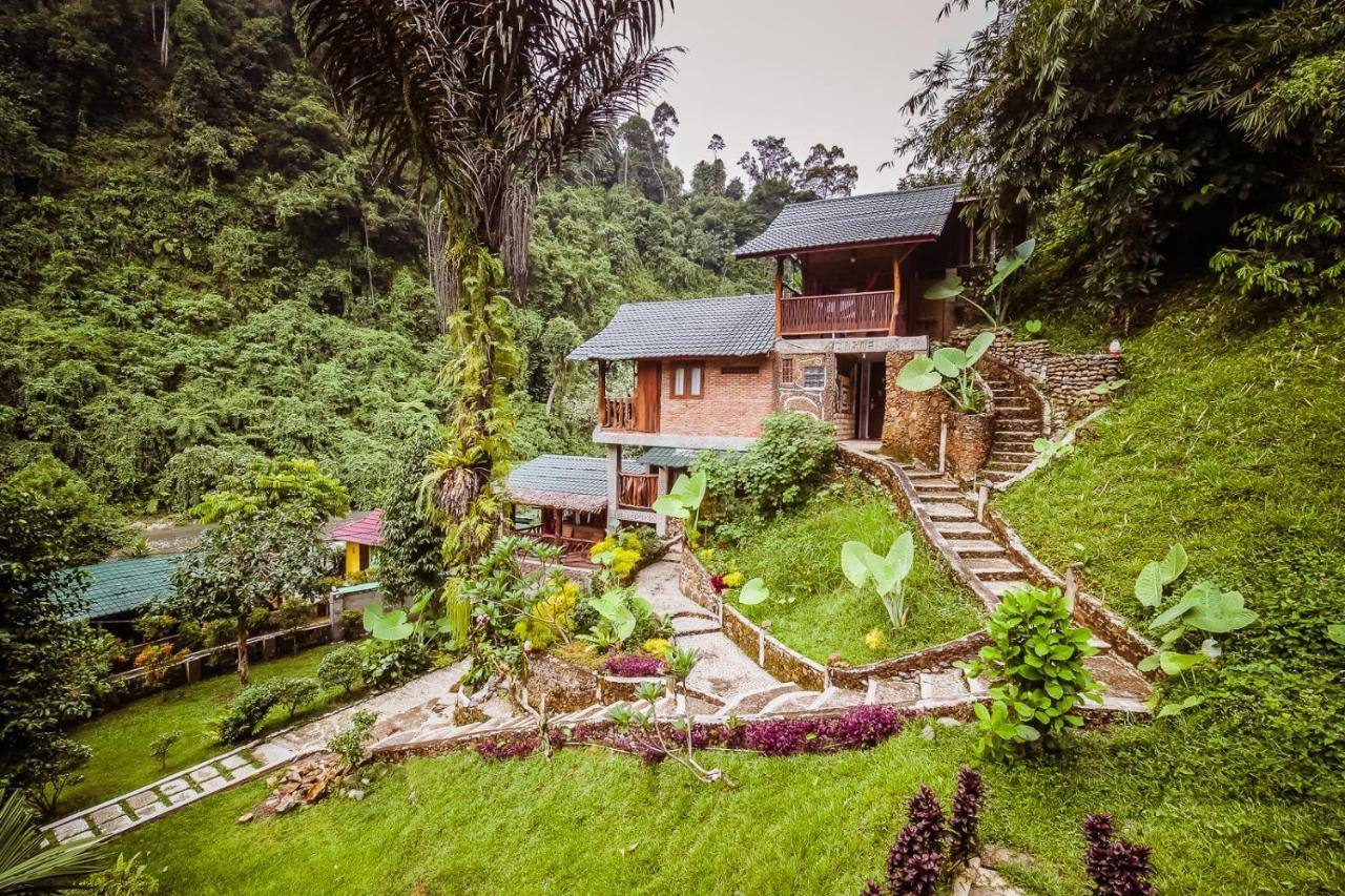 Garden Inn Bukit Lawang Exterior foto