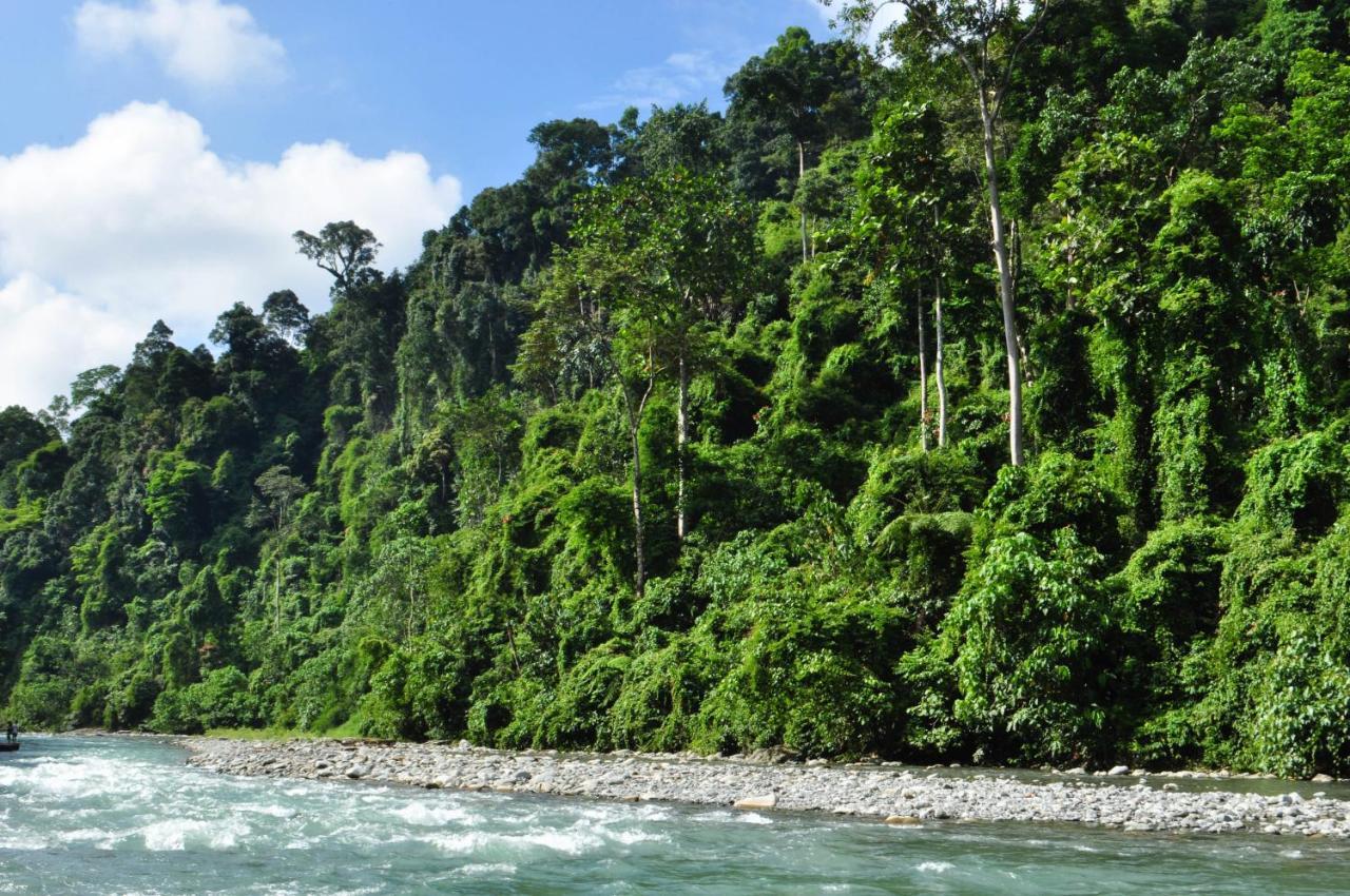 Garden Inn Bukit Lawang Exterior foto