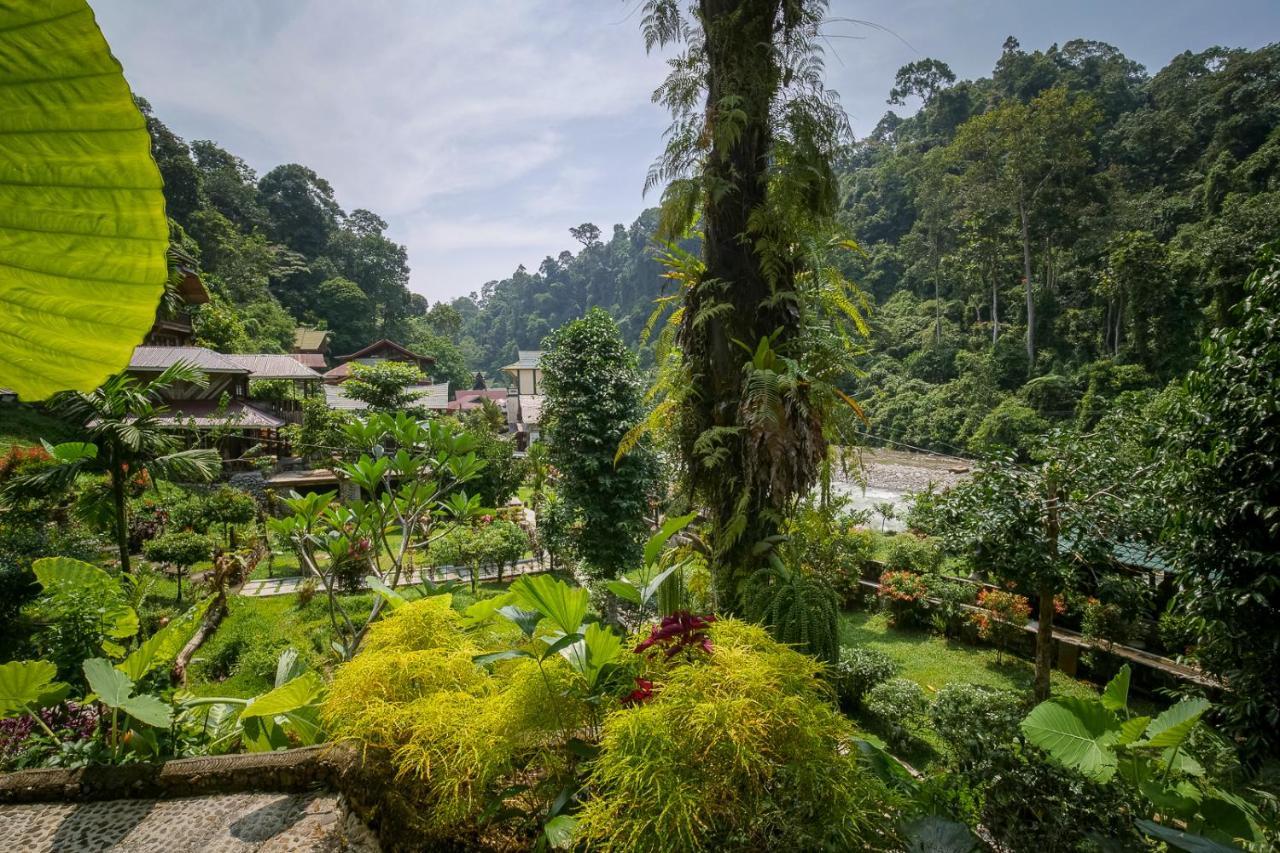 Garden Inn Bukit Lawang Exterior foto