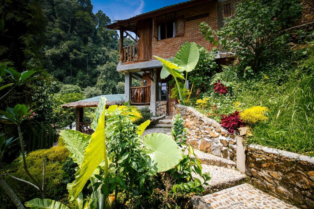 Garden Inn Bukit Lawang Exterior foto